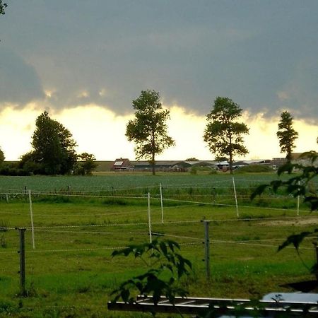 Deich Im Landhaus Michaela Friedrichskoog Dış mekan fotoğraf