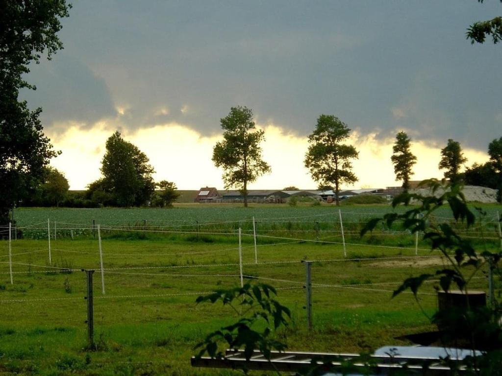 Deich Im Landhaus Michaela Friedrichskoog Dış mekan fotoğraf